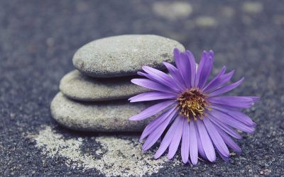 SEMILLAS SOBRE YOGA Y MEDITACION