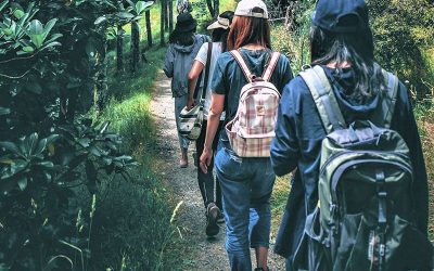 “Senderismo Meditativo y Yoga: Una combinación perfecta para conectar con la naturaleza y contigo mismo/a”