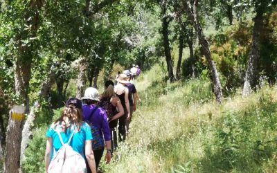 SENDERISMOS MEDITATIVOS: EN QUÉ CONSISTEN Y SUS BENEFICIOS