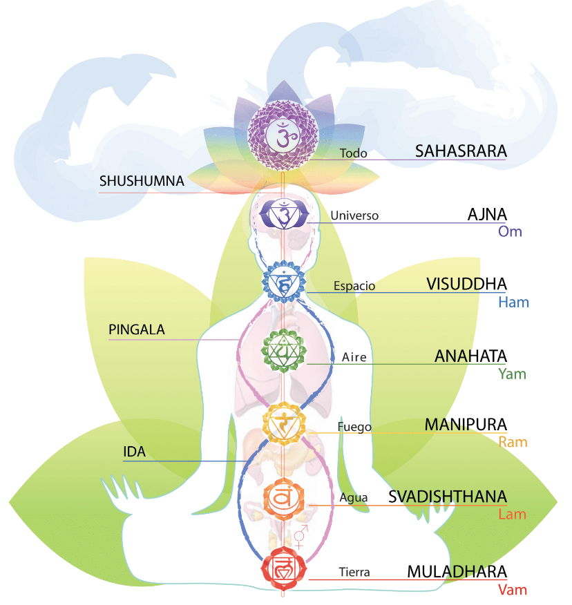 7 CHAKRAS