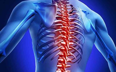 Relación entre la salud de la columna vertebral, las emociones y los Chakras