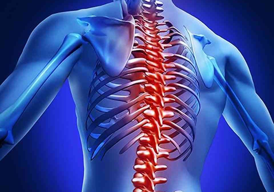 Relación entre la salud de la columna vertebral, las emociones y los Chakras